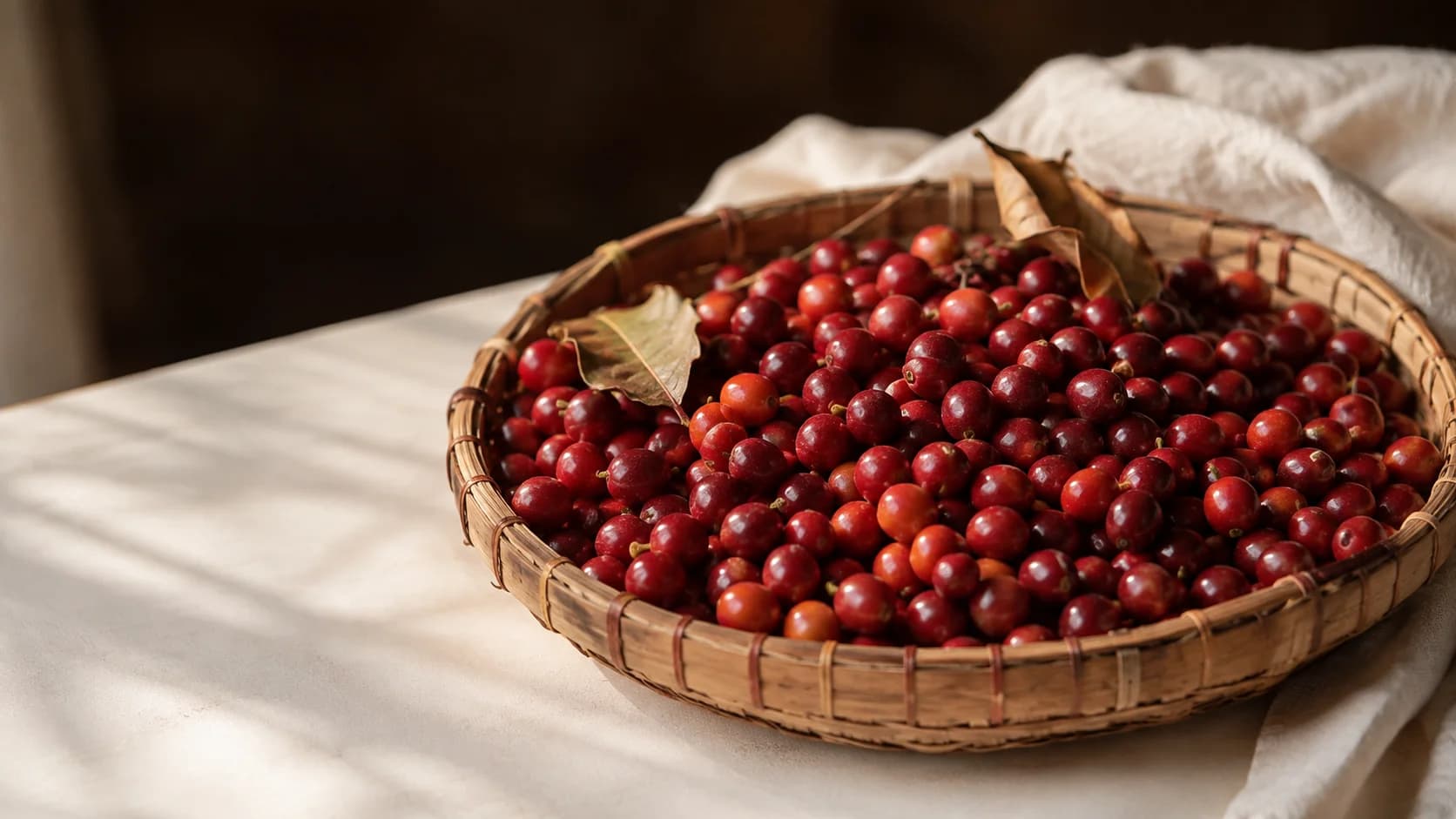 Boabe de cafea rosii proaspat recoltate intr-un cos rotund de bambus pe o suprafata alba, cu lumina naturala calda